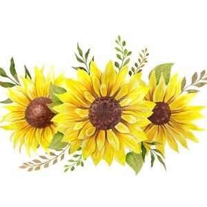 Thanks, you came 💛